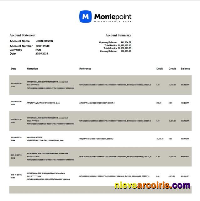 Nigeria Moniepoint Microfinance Bank account statement Word and PDF